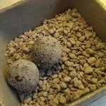 ヒカリヤ ニシ - 