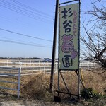 杉谷苺園 - ここよ