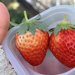 杉谷苺園 - あんまくて美味しい