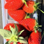 杉谷苺園 - 食べ比べでもしてみようか