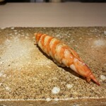 渋谷 すしき - 車エビ