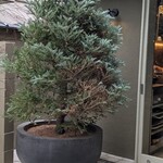 パティスリー オー フィル ドゥ ジュール - 