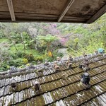 やちむん喫茶シーサー園 - 