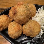 ハイコロトンボ - 