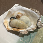 ニュー新橋ビル 牡蠣入レ時 - 