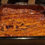 新橋 うなぎのお宿 - 