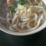 うどん源水南国 - かけうどん