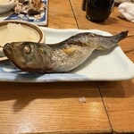夜ノ焼魚 ちょーちょむすび - 