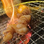 ホルモン 長岡 - 