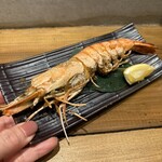 炭焼き屋 ほむら - 