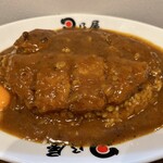 日乃屋カレー JR川崎タワー店 - 