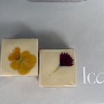 ICONIC STAGE marunouchi - 