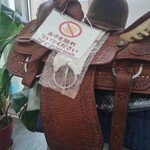 美ら馬 ホースくらぶ - 