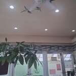 美ら馬 ホースくらぶ - 