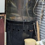 成寿司 - 生け簀真ん中に鎮座するのはクエ