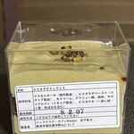 Gelateria Caffe Vivace - 