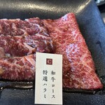 特選和牛 大将軍 - 