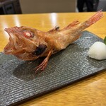 炉ノ鳥 - 