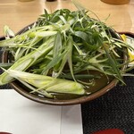 たけふく - カツはおろか、カレーとじも隠れてしまうネギ増し。