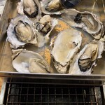 魚貝バル HAMAJIRUSHI - 