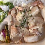 CAMARON SHRIMP WAGON - 