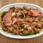 サライケバブ - 料理写真: