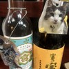 小料理まめ - 猫好きの方にもおすすめ