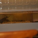 神楽坂 鉄板焼 向日葵 - 鮑が入っていた生け簀