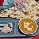 ニュータージマハール - キッズカレー　ドリンク　サラダスープ付き