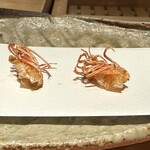 ぬま田 - 【 車海老　頭 】