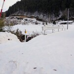 名代 中華そば 山金 - 