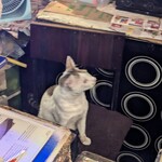 ร้านเจียงฮาย - 