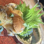 trattoria GALLIANO - 蝦夷あわびと生ウニのカルパッチョ
