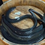 小料理 廉 - 活鰻