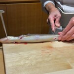 鮨喜 やまだ藤七 - 