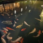 鉄板・懐石 くら馬 - 