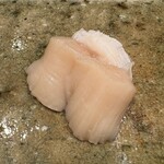 神田錦町 鮨たか晴 - 帆立