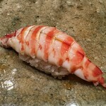 神田錦町 鮨たか晴 - 車海老