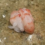 神田錦町 鮨たか晴 - 牡丹海老 ※コース外で追加注文