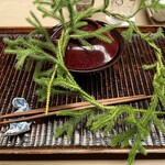 緒方 - ヒカゲノカズラは無病息災