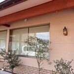 ワライカワセミ - 外観
