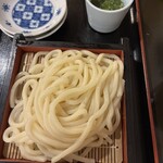 つくつくぼうし - 
