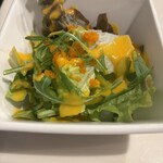 Tikka - セットのサラダ　ドレッシングもたっぷり