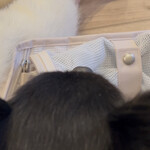 肉菜工房うしすけ - 