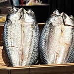 炉端焼鳥海鮮 七囲炉 - 