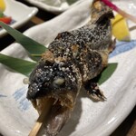 小川の魚 - 