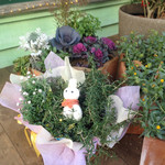 ハティフナット - 