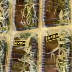 土佐角弘海産 - 