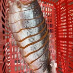 ロピア - 料理写真:銀ジャケ