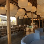 四季彩うどん 華きんとん - 